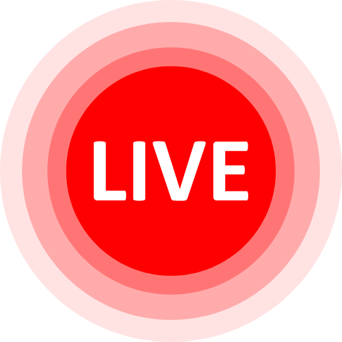 Live Cams Pirn